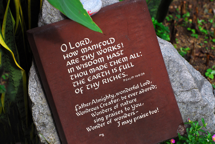 #1 Tablet at Mandai Orchid Garden