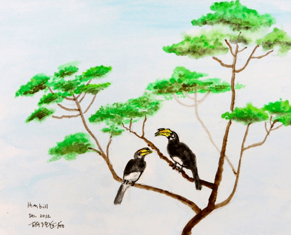 Hornbill seen on the tree tops in our Housing Estate at Bukit Timah (犀鸟喜上树梢 武吉知马居宅), 2012